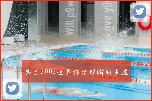 弗兰2002世界杯进球瞬间重温