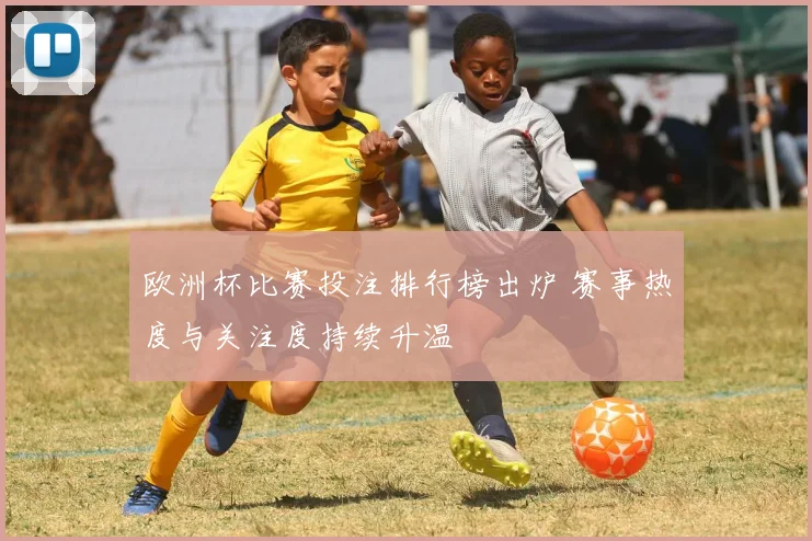 欧洲杯比赛投注排行榜出炉 赛事热度与关注度持续升温