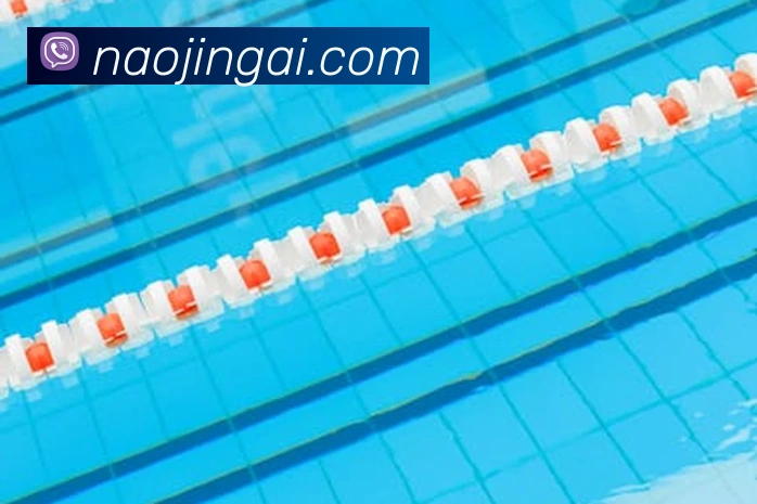 多媒体互动体验