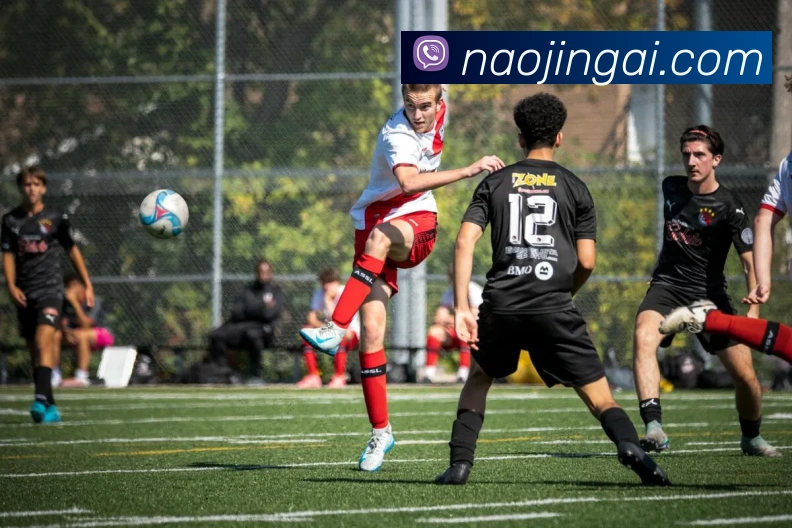 开云官方入口app下载安装官网APP 体育赛事宣传图